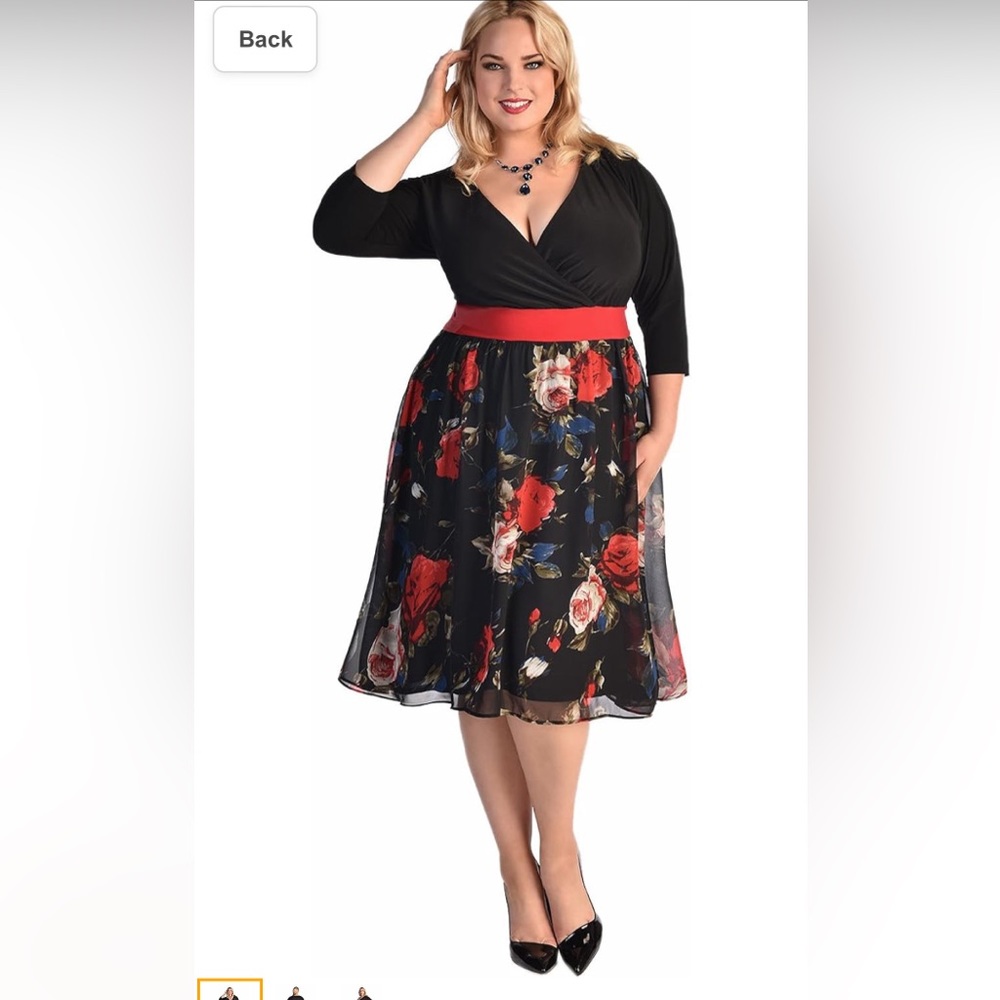 IGIGI Women's Plus Size Kelly Dress in Rembrandt Floral Print 5X 30/32